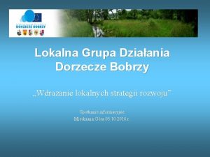 Lokalna Grupa Dziaania Dorzecze Bobrzy Wdraanie lokalnych strategii