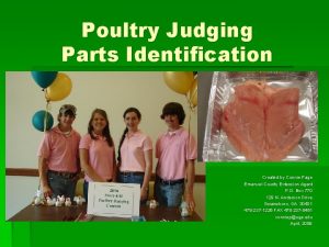 Poultry Judging Parts Identification Created by Connie Page