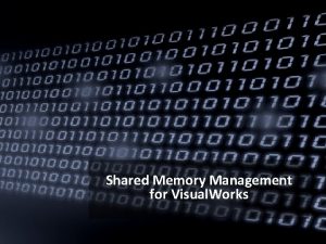 Shared Memory Management for Visual Works Holger Guhl