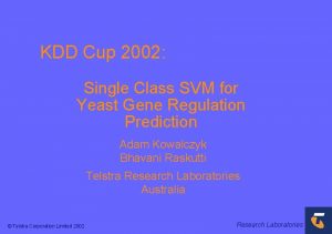 KDD Cup 2002 Single Class SVM for Yeast