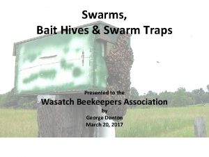 Swarms Bait Hives Swarm Traps Presented to the