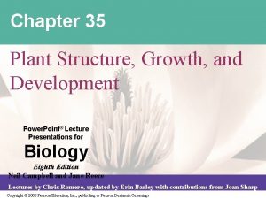 Chapter 35 Plant Structure Growth and Development Power