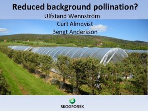 Reduced background pollination Ulfstand Wennstrm Curt Almqvist Bengt