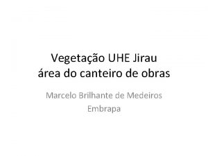 Vegetao UHE Jirau rea do canteiro de obras