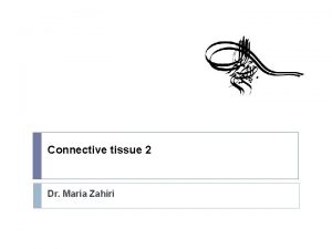 Connective tissue 2 Dr Maria Zahiri Formation of
