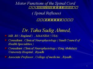 Motor Functions of the Spinal Cord Spinal Reflexes
