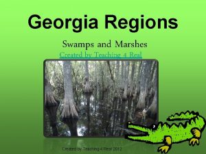 Georgia Regions Swamps and Marshes Created by Teaching