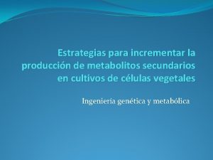 Estrategias para incrementar la produccin de metabolitos secundarios