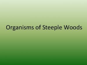 Organisms of Steeple Woods What organisms can be