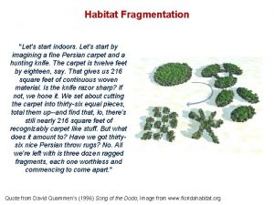 Habitat Fragmentation Lets start indoors Lets start by