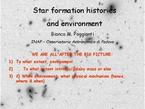 Star formation histories and environment Bianca M Poggianti