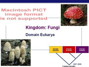 Kingdom Fungi Domain Eukarya Domain Bacteria AP Biology