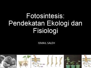 Fotosintesis Pendekatan Ekologi dan Fisiologi ISMAIL SALEH Faktor