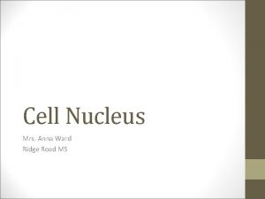 Cell Nucleus Mrs Anna Ward Ridge Road MS