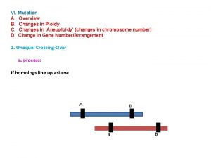 VI Mutation A Overview B Changes in Ploidy