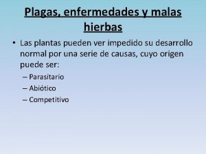 Plagas enfermedades y malas hierbas Las plantas pueden