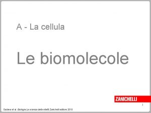 A La cellula Le biomolecole 1 Sadava et