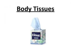 Body Tissues Body Tissues Tissues Groups of cells