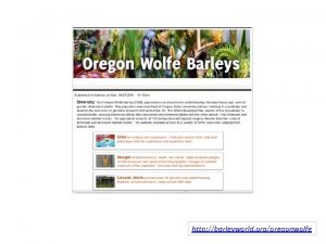 http barleyworld orgoregonwolfe Dr Bob Wolfe Wolfe R