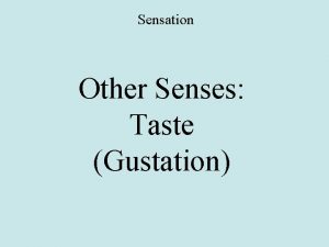 Sensation Other Senses Taste Gustation Taste Taste is