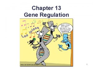 Chapter 13 Gene Regulation 1 13 1 Prokaryotic
