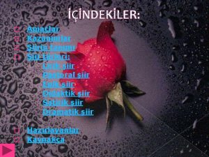 NDEKLER Amalar Kazanmlar iirin tanm iir trleri Lirik