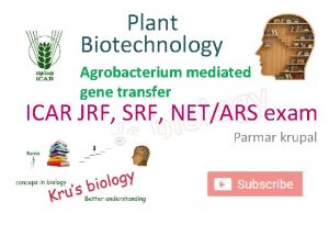 Plant Biotechnology Agrobacterium mediated gene transfer ICAR JRF