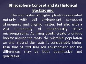 Rhizosphere Concept and its Historical Background The root