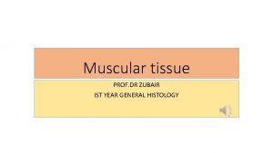 Muscular tissue PROF DR ZUBAIR IST YEAR GENERAL