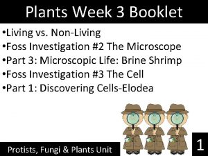 Plants Week 3 Booklet Living vs NonLiving Foss