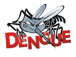 O que Dengue Dengue uma doena infecciosa aguda