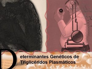 eterminantes Genticos de Triglicridos Plasmticos Disertantes Cheratto Milagros