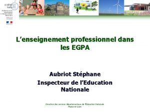 Lenseignement professionnel dans les EGPA Aubriot Stphane Inspecteur