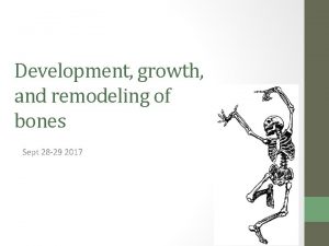 Development growth and remodeling of bones Sept 28