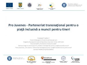 Pro Juvenes Parteneriat transnaional pentru o pia inclusiv