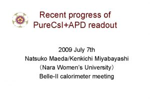 Recent progress of Pure Cs IAPD readout 2009