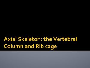 Axial Skeleton the Vertebral Column and Rib cage