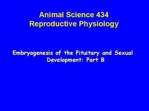 Animal Science 434 Reproductive Physiology Embryogenesis of the