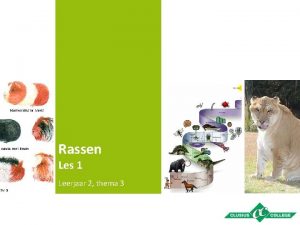 Rassen Les 1 Leerjaar 2 thema 3 Themainhoud