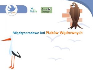 Midzynarodowe Dni Ptakw Wdrownych Idziemy na wycieczk w