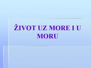 IVOT UZ MORE I U MORU Klima i