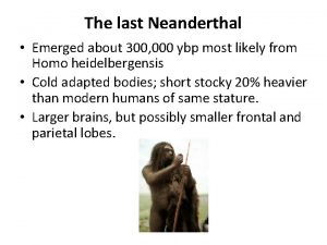 The last Neanderthal Emerged about 300 000 ybp