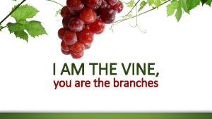 I AM THE VINE you are the branches