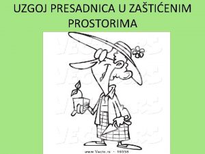 UZGOJ PRESADNICA U ZATIENIM PROSTORIMA to su presadnice