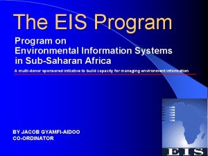 The EIS Program on Environmental Information Systems in