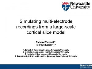 Simulating multielectrode recordings from a largescale cortical slice