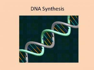 DNA Synthesis Prefixes Suffixes and Vocabulary Synthesis to