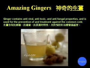 Amazing Gingers Ginger contains anti viral anti toxic