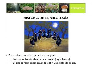INTRODUCCIN HISTORIA DE LA MICOLOGA Se crea que