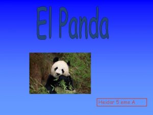 Heidar 5 eme A Nombre comn Oso panda